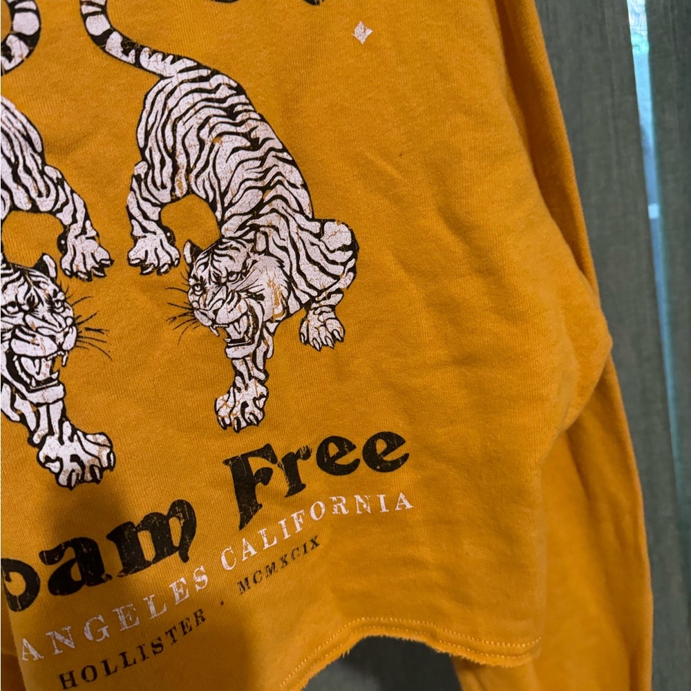 Hollister California Mustard Yellow Sweatshirt - Picture 3 of 3
